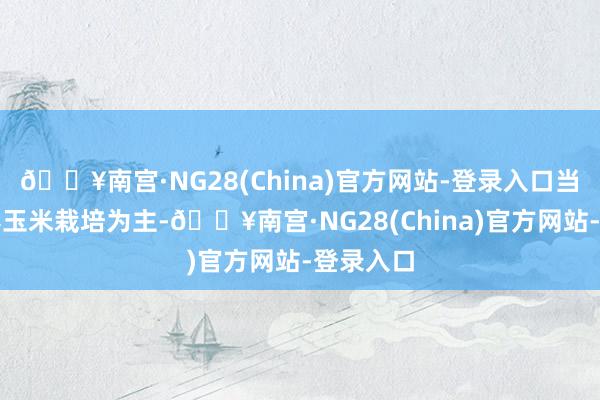 🔥南宫·NG28(China)官方网站-登录入口当地原以春玉米栽培为主-🔥南宫·NG28(China)官方网站-登录入口