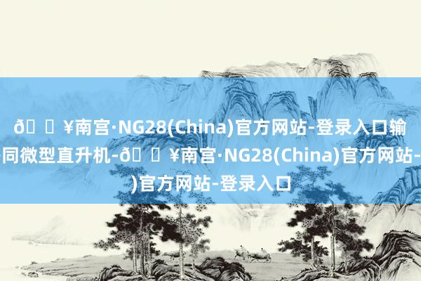 🔥南宫·NG28(China)官方网站-登录入口输送才智等同微型直升机-🔥南宫·NG28(China)官方网站-登录入口