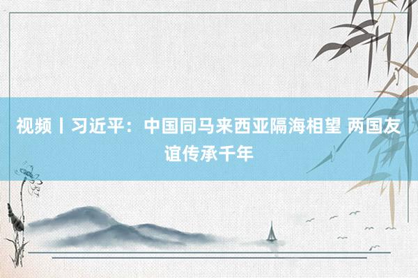 视频丨习近平：中国同马来西亚隔海相望 两国友谊传承千年