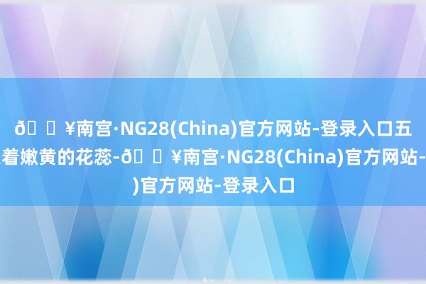 🔥南宫·NG28(China)官方网站-登录入口五瓣小花裹着嫩黄的花蕊-🔥南宫·NG28(China)官方网站-登录入口